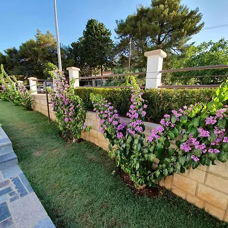 Karolina Biograd Na Moru