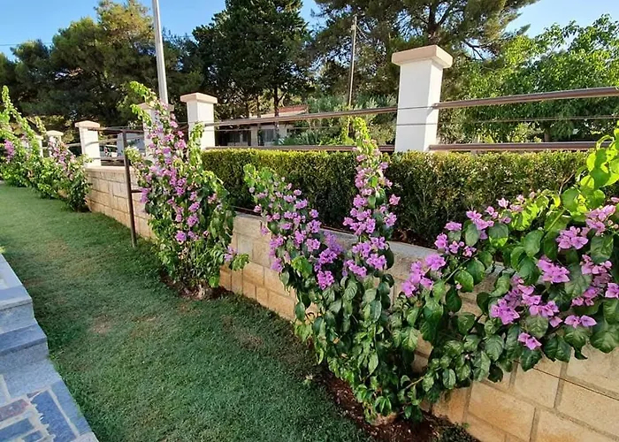 Karolina 비오그라드나모루